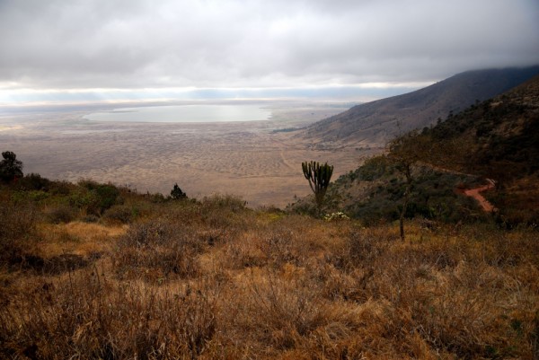 Ngorongoro